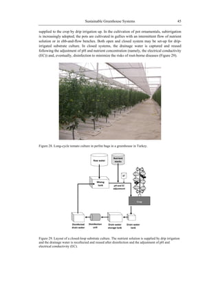 Sustainable Greenhouse Systems 45
supplied to the crop by drip irrigation up. In the cultivation of pot ornamentals, subirrigation
is increasingly adopted; the pots are cultivated in gullies with an intermittent flow of nutrient
solution or in ebb-and-flow benches. Both open and closed system may be set-up for drip-
irrigated substrate culture. In closed systems, the drainage water is captured and reused
following the adjustment of pH and nutrient concentration (namely, the electrical conductivity
(EC)) and, eventually, disinfection to minimize the risks of root-borne diseases (Figure 29).
Figure 28. Long-cycle tomato culture in perlite bags in a greenhouse in Turkey.
Figure 29. Layout of a closed-loop substrate culture. The nutrient solution is supplied by drip irrigation
and the drainage water is recollected and reused after disinfection and the adjustment of pH and
electrical conductivity (EC).
 