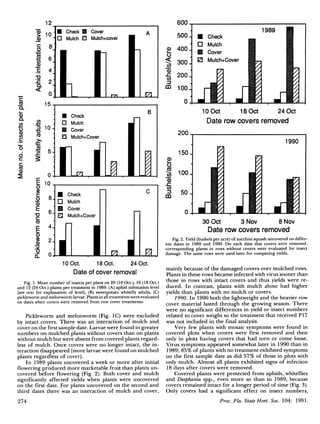 0
□ Mulch ED Mulch+cover
1989
Check
Mulch
Cover
Mulch+Cover
CD
Q_
5
<D
C/)
c
5
d
c
CO
CD
10Oct 18Oct 24Oct
Date row covers removed
10-
■ Check
□ Mulch
Cover
□ Mulch+Cover
Check
Mulch
Cover
Mulch+Cover
10 Oct. 18 Oct. 24 Oct.
Date of cover removal
Fig. 1. Mean number of insects per plant on 20 (10 Oct.), 16 (18 Oct.)
and 12 (24 Oct.) plants per treatment in 1989. (A) aphid infestation level
(see text for explanation of level), (B) sweetpotato whitefly adults, (C)
pickleworm and melonworm larvae. Plants in all treatments were evaluated
on dates when covers were removed from row cover treatments.
Pickleworm and melonworm (Fig. 1C) were excluded
by intact covers. There was an interaction of mulch and
cover on the first sample date. Larvae were found in greater
numbers on mulched plants without covers than on plants
without mulch but were absent from covered plants regard
less of mulch. Once covers were no longer intact, the in
teraction disappeared (more larvae were found on mulched
plants regardless of cover).
In 1989 plants uncovered a week or more after initial
flowering produced more marketable fruit than plants un
covered before flowering (Fig. 2). Both cover and mulch
significantly affected yields when plants were uncovered
on the first date. For plants uncovered on the second and
third dates there was an interaction of mulch and cover,
274
30 Oct 3 Nov 8 Nov
Date row covers removed
Fig. 2. Yield (bushels per acre) of zucchini squash uncovered on differ
ent dates in 1989 and 1990. On each date that covers were removed,
corresponding plants in rows without covers were evaluated for insect
damage. The same rows were used later for comparing yields.
mainly because of the damaged covers over mulched rows.
Plants in these rows became infected with virus sooner than
those in rows with intact covers and thus yields were re
duced. In contrast, plants with mulch alone had higher
yields than plants with no mulch or covers.
1990. In 1990 both the lightweight and the heavier row
cover material lasted through the growing season. There
were no significant differences in yield or insect numbers
related to cover weight so the treatment that received PI7
was not included in the final analysis.
Very few plants with mosaic symptoms were found in
covered plots when covers were first removed and then
only in plots having covers that had torn or come loose.
Virus symptoms appeared somewhat later in 1990 than in
1989; 85% of plants with no treatment exhibited symptoms
on the first sample date as did 57% of those in plots with
only mulch. Almost all plants exhibited signs of infection
18 days after covers were removed.
Covered plants were protected from aphids, whiteflies
and Diaphania spp., even more so than in 1989, because
covers remained intact for a longer period of time (Fig. 3).
Only covers had a significant effect on insect numbers,
Proc. Fla. State Hort. Soc. 104: 1991.
 
