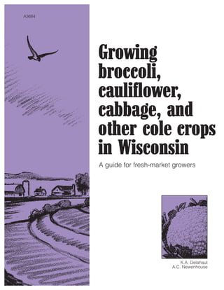 A3684
K.A. Delahaut
A.C. Newenhouse
Growing
broccoli,
cauliflower,
cabbage, and
other cole crops
in Wisconsin
A guide for fresh-market growers
 