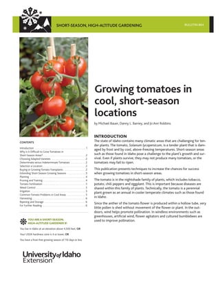 SHORT-SEASON, HIGH-ALTITUDE GARDENING BULLETIN 864
Growing tomatoes in
cool, short-season
locations
INTRODUCTION
The state of Idaho contains many climatic areas that are challenging for ten-
der plants. The tomato, Solanum lycopersicum, is a tender plant that is dam-
aged by frost and by cool, above-freezing temperatures. Short-season areas
such as those found in Idaho pose a challenge to the plant’s growth and sur-
vival. Even if plants survive, they may not produce many tomatoes, or the
tomatoes may fail to ripen.
This publication presents techniques to increase the chances for success
when growing tomatoes in short-season areas.
The tomato is in the nightshade family of plants, which includes tobacco,
potato, chili peppers and eggplant. This is important because diseases are
shared within this family of plants. Technically, the tomato is a perennial
plant grown as an annual in cooler temperate climates such as those found
in Idaho.
Since the anther of the tomato flower is produced within a hollow tube, very
little pollen is shed without movement of the flower or plant. In the out-
doors, wind helps promote pollination. In windless environments such as
greenhouses, artificial wind, flower agitators and cultured bumblebees are
used to improve pollination.
YOU ARE A SHORT-SEASON,
HIGH-ALTITUDE GARDENER IF:
You live in Idaho at an elevation above 4,500 feet, OR
Your USDA hardiness zone is 4 or lower, OR
You have a frost-free growing season of 110 days or less
by Michael Bauer, Danny L. Barney, and Jo Ann Robbins
CONTENTS
Introduction . . . . . . . . . . . . . . . . . . . . . . . . . . . . . . . . . . . . . . . . . . 1
Why is it Difficult to Grow Tomatoes in
Short-Season Areas? . . . . . . . . . . . . . . . . . . . . . . . . . . . . . . . . . . . 2
Choosing Adapted Varieties . . . . . . . . . . . . . . . . . . . . . . . . . . . . 2
Determinate versus Indeterminate Tomatoes . . . . . . . . . . . . 2
Selection a Location . . . . . . . . . . . . . . . . . . . . . . . . . . . . . . . . . . . 2
Buying or Growing Tomato Transplants . . . . . . . . . . . . . . . . . . 2
Extending Short-Season Growing Seasons . . . . . . . . . . . . . . . 3
Planting . . . . . . . . . . . . . . . . . . . . . . . . . . . . . . . . . . . . . . . . . . . . . . 4
Pruning and Training . . . . . . . . . . . . . . . . . . . . . . . . . . . . . . . . . . . 4
Tomato Fertilization . . . . . . . . . . . . . . . . . . . . . . . . . . . . . . . . . . . 5
Weed Control . . . . . . . . . . . . . . . . . . . . . . . . . . . . . . . . . . . . . . . . . 5
Irrigation . . . . . . . . . . . . . . . . . . . . . . . . . . . . . . . . . . . . . . . . . . . . . 5
Common Tomato Problems in Cool Areas . . . . . . . . . . . . . . . 5
Harvesting . . . . . . . . . . . . . . . . . . . . . . . . . . . . . . . . . . . . . . . . . . . . 6
Ripening and Storage . . . . . . . . . . . . . . . . . . . . . . . . . . . . . . . . . . 6
For Further Reading . . . . . . . . . . . . . . . . . . . . . . . . . . . . . . . . . . . 6
 