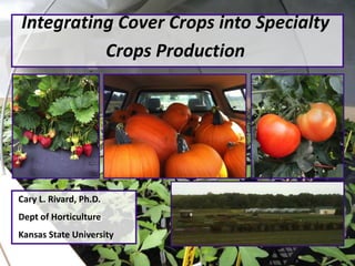 Integrating Cover Crops into Specialty
Crops Production
Cary L. Rivard, Ph.D.
Dept of Horticulture
Kansas State University
 