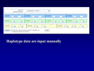 Haplotype data are input manually
 
