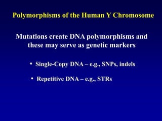 Polymorphisms of the Human Y Chromosome
Mutations create DNA polymorphisms and
these may serve as genetic markers
• Repetitive DNA – e.g., STRs
• Single-Copy DNA – e.g., SNPs, indels
 