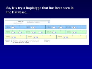 So, lets try a haplotype that has been seen in
the Database…
 