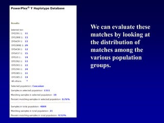 We can evaluate these
matches by looking at
the distribution of
matches among the
various population
groups.
 