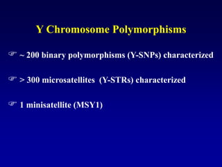 Y Chromosome Polymorphisms
 ~ 200 binary polymorphisms (Y-SNPs) characterized
 > 300 microsatellites (Y-STRs) characterized
 1 minisatellite (MSY1)
 