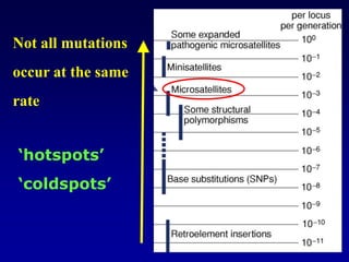 Not all mutations
occur at the same
rate
‘hotspots’
‘coldspots’
 