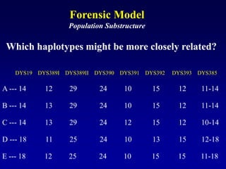 Forensic Model
Population Substructure
DYS19 DYS389I DYS389II DYS390 DYS391 DYS392 DYS393 DYS385
A --- 14 12 29 24 10 15 12 11-14
E --- 18 12 25 24 10 15 15 11-18
B --- 14 13 29 24 10 15 12 11-14
C --- 14 13 29 24 12 15 12 10-14
D --- 18 11 25 24 10 13 15 12-18
Which haplotypes might be more closely related?
 