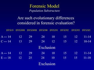 Forensic Model
Population Substructure
DYS19 DYS389I DYS389II DYS390 DYS391 DYS392 DYS393 DYS385
A --- 14 12 29 24 10 15 12 11-14
C --- 14 13 29 24 12 15 12 10-14
Are such evolutionary differences
considered in forensic evaluation?
E --- 18 12 25 24 10 15 15 11-18
A --- 14 12 29 24 10 15 12 11-14
Exclusion
Exclusion
 