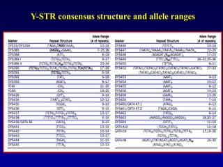 Y-STR consensus structure and allele ranges
 