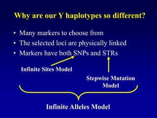 Why are our Y haplotypes so different?
• Many markers to choose from
• The selected loci are physically linked
• Markers have both SNPs and STRs
Infinite Sites Model
Stepwise Mutation
Model
Infinite Alleles Model
 