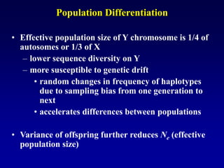 Population Differentiation
• Effective population size of Y chromosome is 1/4 of
autosomes or 1/3 of X
– lower sequence diversity on Y
– more susceptible to genetic drift
• random changes in frequency of haplotypes
due to sampling bias from one generation to
next
• accelerates differences between populations
• Variance of offspring further reduces Ne (effective
population size)
 