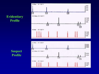 Evidentiary
Profile
Suspect
Profile
 