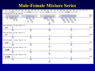 Male-Female Mixture Series
1:0
1:1
1:10
1:100
1:1000
 