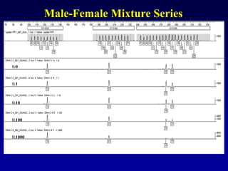 Male-Female Mixture Series
1:0
1:1
1:10
1:100
1:1000
 