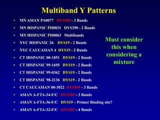 Multiband Y Patterns
• MN ASIAN PA0077 DYS385 - 3 Bands
• MN HISPANIC PH0031 DYS390 - 2 Bands
• MN HISPANIC PH0063 Multibands
• NYC HISPANIC 26 DYS19 - 2 Bands
• NYC CAUCASIAN 4 DYS19 - 2 Bands
• CT HISPANIC 00-1851 DYS19 - 2 Bands
• CT HISPANIC 99-1695 DYS19 - 2 Bands
• CT HISPANIC 99-0362 DYS19 - 2 Bands
• CT HISPANIC 98-2136 DYS19 - 2 Bands
• CT CAUCASIAN 00-3022 DYS385 - 3 Bands
• ASIAN A-FTA-34-F/C DYS385 - 3 Bands
• ASIAN A-FTA-36-F/C DYS19 – Primer Binding site?
• ASIAN A-FTA-32-F/C DYS385 - 4 Bands
Must consider
this when
considering a
mixture
 