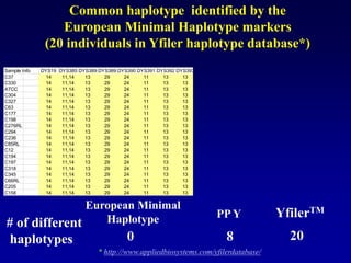 Sample Info DYS19 DYS385 1
DYS389I 1
DYS389II 1
DYS390 1
DYS391 1
DYS392 1
DYS393 1
DYS438 1
DYS439 1
DYS437 1
DYS448 1
DYS456 1
DYS458 1
Y GATA H4 1
DYS635
C37 14 11,14 13 29 24 11 13 13 13 12 14 19 15 17 12 23
C330 14 11,14 13 29 24 11 13 13 13 11 15 19 15 19 11 23
ATCC 14 11,14 13 29 24 11 13 13 12 13 15 19 15 17 13 23
C304 14 11,14 13 29 24 11 13 13 12 13 15 19 17 18 12 23
C327 14 11,14 13 29 24 11 13 13 12 13 15 19 16 16 12 24
C63 14 11,14 13 29 24 11 13 13 12 13 15 17 16 17 11 23
C177 14 11,14 13 29 24 11 13 13 12 12 15 21 17 19 12 24
C198 14 11,14 13 29 24 11 13 13 12 12 15 18 16 17 12 23
C276RL 14 11,14 13 29 24 11 13 13 12 12 15 19 15 19 12 23
C294 14 11,14 13 29 24 11 13 13 12 12 15 19 15 17 11 24
C236 14 11,14 13 29 24 11 13 13 12 12 14 19 15 18 12 23
C85RL 14 11,14 13 29 24 11 13 13 12 12 14 19 16 16 11 24
C12 14 11,14 13 29 24 11 13 13 12 11 15 19 17 18 12 23
C194 14 11,14 13 29 24 11 13 13 12 11 15 19 17 17 12 23
C197 14 11,14 13 29 24 11 13 13 12 11 15 19 15 16 >13 24
C318 14 11,14 13 29 24 11 13 13 12 11 15 19 16 17 12 23
C345 14 11,14 13 29 24 11 13 13 12 11 15 19 15 18 12 23
C66RL 14 11,14 13 29 24 11 13 13 12 11 15 19 16 19 12 23
C205 14 11,14 13 29 24 11 13 13 12 11 14 19 15 17 12 23
C158 14 11,14 13 29 24 11 13 13 12 10 15 19 16 20 13 23
Common haplotype identified by the
European Minimal Haplotype markers
(20 individuals in Yfiler haplotype database*)
European Minimal
Haplotype
0
# of different
haplotypes 20
YfilerTM
8
PP Y
* http://www.appliedbiosystems.com/yfilerdatabase/
 
