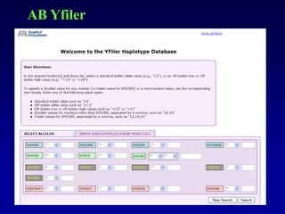AB Yfiler
 