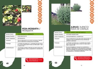 55 12
Nombre Común : ROSA MOSQUETA / MOSQUETA
Nombre Científico : ROSA MOSCHATA
Acción Terapéutica : ASTRINGENTE
Indicación : Para el tratamiento en el control de diarreas. Además
para el tratamiento de afecciones bronquiales.
Posología : La infusión se prepara con 1 cucharada de frutos secos
en un litro de agua recién hervida: se debe beber 1 taza
3 veces al día.
Contraindicación : Al consultar al médico infórmele que está usando esta
hierba medicinal. Evite su preparación en utensilios de
aluminio.
ROSA MOSCHATA
www.bolsonweb.com.ar/diari
obolson/detalle.php...
ROSA MOSQUETA /
MOSQUETA
45
Nombre Común : AJENJO, AJENCO, RUDA DE CASTILLA
Nombre Científico : ARTEMISA ABSINTHIUM
Acción Terapéutica : ANTIESPASMÓDICO, VERMIFUGO
Indicación : Para el tratamiento de las afecciones estomacales y/o
hepáticas. Para el tratamiento de los síntomas de
parásitos intestinales.
Posología: La infusión se prepara con 1 cucharada de la hierba
para un litro de agua recién hervida: se debe beber 1
taza 3 veces al día.
Contraindicación : No es aconsejable su consumo en el embarazo y
lactancia, ni administrar en niños pequeños o a personas
que sufren epilepsia. No consumir por periodos largos.
Evitar su uso en inflamaciones digestivas crónicas. Evite
su preparación en utensilios de aluminio.
ARTEMISA ABSINTHIUM
http://commons.wikimedia.org/w
iki/File:Wormwood_bush.jpg
AJENJO/ AJENCO/
RUDA DE CASTILLA
02
 