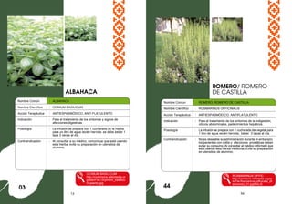 13 54
Nombre Común : ALBAHACA
Nombre Científico : OCIMUM BASILICUM
Acción Terapéutica : ANTIESPASMÓDICO, ANTI FLATULENTO
Indicación : Para el tratamiento de los síntomas y signos de
afecciones digestivas.
Posología : La infusión se prepara con 1 cucharada de la hierba
para un litro de agua recién hervida: se debe beber 1
taza 3 veces al día.
Contraindicación : Al consultar a su médico, comunique que está usando
esta hierba, evite su preparación en utensilios de
aluminio.
OCIMUM BASILICUM
http://commons.wikimedia.or
g/wiki/File:Ocymum_basilicu
m-planto.jpg
ALBAHACA
03
Nombre Comun : ROMERO, ROMERO DE CASTILLA
Nombre Científico : ROSMARINUS OFFICINALIS
Acción Terapéutica : ANTIESPASMÓDICO, ANTIFLATULENTO
Indicación : Para el tratamiento de los síntomas de la indigestión,
cólicos abdominales, padecimientos hepáticos.
Posología : La infusión se prepara con 1 cucharada del vegetal para
1 litro de agua recién hervida; beber 3 tazas al día.
Contraindicación : No es deseable su administración durante el embarazo;
los pacientes con colitis y afecciones prostáticas deben
evitar su consumo. Al consultar al médico infórmele que
está usando esta hierba medicinal. Evite su preparación
en utensilios de aluminio.
ROSMARINUS OFFIC
http://commons.wikimedia.org/wi
ki/File:Rosmarinus_officinalis_(B
arlovento)_01.jpgINALIS
ROMERO/ ROMERO
DE CASTILLA
44
 