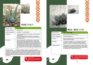 15 52
Nombre Común : ALOE, SABILA
Nombre Científico : ALOE VERA
Acción Terapéutica : LAXANTE , CICATRIZANTE
Indicación : 1. Para el tratamiento de los signos y los síntomas de
estreñimiento.
2. Para el tratamiento de los signos y síntomas de
lesiones en la piel, como quemaduras provocadas por
la exposición solar.
Posología : Para el tratamiento del estreñimiento se usa el jugo
espeso de las hojas, (jugo parduzco y amargo que
escurre espontáneamente del corte de la hoja fresca).
Se debe beber una cucharada de este jugo natural. Para
el tratamiento de lesiones en la piel, se debe hacer un
corte longitudinal a la hoja del aloe, para obtener el gel
de la hoja, (líquido viscoso, incoloro y transparente), gel
que se aplica en la zona afectada por la quemadura de
sol.
Contraindicación: No es aconsejable su empleo oral durante el embarazo,
lactancia y en menores de 10 años, ni cuando existan dolores abdominales, nauseas
y vómitos. No se debe administrar en pacientes con la enfermedad de Crohn, colitis
ulcerativas, ni en personas con síndrome de colon irritable. Como todo laxante sólo
puede ser usado por un periodo no superior a una semana. De consultar a un médico,
infórmele que está usando esta hierba medicinal. Evite su preparación en utensilios
de aluminio.
ALOE VERA
http://commons.wikimedia.or
g/wiki/Image:Aloevera2web.j
pg
RICA - RICA/ KORE
05
Nombre Comun : RICA - RICA, KORE
Nombre Científico : ACANTHOLIPPIA DESERTICOLA
Acción Terapéutica : ANTIESPASMÓDICO
Indicación : Para el tratamiento de los síntomas y signos de
afecciones estomacales.
Posología : La infusión se prepara con 1 cucharada de la planta
seca para un litro de agua recién hervida, dejando
reposar 10 minutos`, se bebe como agua para la sed.
Contraindicación : No administrar en mujeres embarazadas. Posible efecto
estimulante del Sistema Nervioso Central. Al consultar
al médico, infórmele que está usando esta hierba. Evite
su preparación en utensilios de aluminio.
ACANTHOLIPPIA DESERTICOLA
http://www.chileflora.com/Florachi
lena/FloraEnglish/HighResPages/
EH1973A.htm
ALOE/ SABILA
42
 