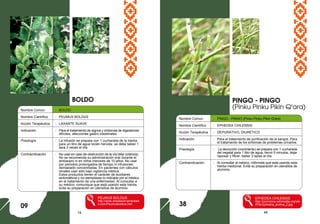 19 48
Nombre Común : BOLDO
Nombre Científico : PEUMUS BOLDUS
Acción Terapéutica : LAXANTE SUAVE
Indicación : Para el tratamiento de signos y síntomas de digestiones
difíciles, afecciones gastro intestinales.
Posología : La infusión se prepara con 1 cucharada de la hierba
para un litro de agua recién hervida: se debe beber 1
taza 3 veces al día.
Contraindicación : No usar en caso de obstrucción de la vía biliar (ictericia).
No se recomienda su administración oral durante el
embarazo ni en niños menores de 10 años. No usar
por periodos prolongados de tiempo ni infusiones
demasiado concentradas. En pacientes con cálculos
renales usar sólo bajo vigilancia médica.
Estos productos tienen el carácter de auxiliares
sintomáticos y no reemplazan lo indicado por el médico
en el tratamiento de una enfermedad. Al consultar a
su médico, comunique que está usando esta hierba,
evite su preparación en utensilios de aluminio.
PEUMUS BOLDUS
http://www.arbolesornamentale
s.com/Peumusboldus.htm
PINGO - PINGO
(Pinku Pinku Pikin Q'ara)
09
Nombre Comun : PINGO - PINGO (Pinku Pinku Pikin Q'ara)
Nombre Científico : EPHEDEA CHILENSIS
Acción Terapéutica : DEPURATIVO, DIURÉTICO
Indicación : Para el tratamiento de purificación de la sangre. Para
el tratamiento de los síntomas de problemas urinarios.
Posología : La decocción (cocimiento) se prepara con 1 cucharada
del vegetal para 1 litro de agua, hervir 5 minutos, dejar
reposar y filtrar; beber 3 tazas al día.
Contraindicación : Al consultar al médico, infórmele que está usando esta
hierba medicinal. Evite su preparación en utensilios de
aluminio.
EPHEDEA CHILENSIS
http://commons.wikimedia.org/wik
i/File:Ephedra_andina_2.jpg
BOLDO
38
 