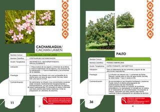21 46
Nombre Comun : CACHANLAGUA, CACHAN LAWEN
Nombre Científico : CENTAURIUM CACHANLAHUEN
Acción Terapéutica : ANTIPIRÉTICO, ANTIHIPERTENSIVO,
HIPOGLICEMIANTE
Indicación : 1. Para el alivio de los signos y síntomas de la fiebre.
2. Para el tratamiento de los signos y los síntomas de
la hipertensión. 3. Para el tratamiento y los síntomas
de la diabetes.
Posología : Se prepara una infusión con una cucharadita de la
planta para una taza de agua recién hervida; beber
sólo una taza en el día.
Contraindicación : No administrar la infusión muy concentrada a quienes
están tomando medicamentos hipoglicemiantes y
antihipertensivos, ya que puede potenciar los efectos
de estos medicamentos. Al consultar al médico infórmele
que está usando esta hierba medicinal. Evite su
preparación en utensilios de aluminio.
CENTAURIUM CACHANLAHUEN
http://commons.wikimedia.org/wik
i/File:Centaurium_erythraea_(flow
ers).jpg
PALTO
11
Nombre Común: PALTO
Nombre Científico: PERSEA AMERICANA
Acción Terapéutica: EXPECTORANTE, ANTISÉPTICO
Indicación: Para el tratamiento de los síntomas y signos de las
afecciones respiratorias.
Posología : La infusión se prepara con 1 cucharada de flores
frescas o secas para un litro de agua recién hervida:
se debe beber 1 taza 3 veces al día.
Contraindicación : No se aconseja su uso durante el embarazo y lactancia.
Puede reducir el efecto anticoagulante de
medicamentos del tipo Warfarina.
Estos productos tienen el carácter de auxiliares
sintomáticos y no reemplazan lo indicado por el médico
en el tratamiento de una enfermedad. Al consultar al
médico, infórmele que está usando esta hierba
medicinal. Evite su preparación en utensilios de aluminio.
PERSEA AMERICANA
http://www.ebp-
botanics.com/files/planta/115777
7314_ft_aguacate-01.jpg
CACHANLAGUA/
CACHAN LAWEN
36
 