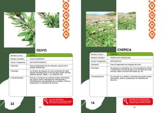 43 24
Nombre Comun : OLIVO
Nombre Científico : OLEA EUROPAEA
Acción Terapéutica : ANTIHIPERTENSIVO
Indicación : Para el tratamiento de los síntomas y signos de la
presión arterial alta.
Posología : La infusión se prepara con una cucharada de hojas
frescas trituradas para un litro de agua recién hervida,
dejando reposar. Beber 1 a 3 tazas por día.
Contraindicación : Este es un producto de carácter auxiliar sintomático,
por ningún motivo reemplaza las indicaciones y
medicamentos recomendado por su médico. Evite su
preparación en utensilios de aluminio.
OLEA EUROPAEA
http://commons.wikimedia.org/wiki
/File:Olea-europaea-foliage.JPG
CHEPICA
33
Nombre Común : CHÉPICA
Nombre Científico : PASPALUM VAGINATUM
Acción Terapéutica : DEPURATIVO
Indicación : Para el tratamiento de limpieza del riñón.
Posología : Se prepara un cocimiento con una cucharada de rizoma
y raíces para una taza de agua, que se hierve por unos
minutos, beber una taza tres veces por día.
Contraindicación : Al consultar a su médico, comunique que está usando
esta hierba, evite su preparación en utensilios de
aluminio.
PASPALUM VAGINATUM
http://www.hear.org/starr/plants/i
mages/image/?q=050418-0245
OLIVO
14
 