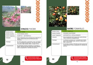 25 42
Nombre Comun : CHILCO, FUCSIA
Nombre Científico : FUCSIA MAGELLANICA
Acción Terapéutica : DIURÉTICO , ANTIPIERÍTICO ,
Indicación : Para el tratamiento de los síntomas de la retención de
líquidos. Para el alivio de los síntomas del ciclo
menstrual.
Posología : Se usa en decocción o cocimiento, la que se prepara
con 1 cucharada de planta para 1 litro de agua, hervir
5 minutos y dejar reposar; beber 2-3 tazas al día.
Contraindicación : No administrar durante el embarazo. Al consultar al
médico, infórmele que está usando esta hierba medicinal.
Evite su preparación en utensilios de aluminio.
FUCSIA MAGELLANICA
http://www.ecolyma.cl/galeria/disp
layimage.php?album=33&pos=26
NATRE/ TOMATILLO
15
Nombre Común : NATRE / TOMATILLO
Nombre Científico : SOLANUM LIGUSTRINUM
Acción Terapéutica : ANTIPIERÉTICO, HIPOGLICEMIANTE
Indicación : Para el tratamiento de los signos de cuadros febriles.
Para el tratamiento hipoglicemiante.
Posología : La infusión se prepara con 1 cucharada de la hierba
para un litro de agua recién hervida: se debe beber 1
taza 3 veces al día.
Contraindicación : Al consultar al médico, infórmele que está usando esta
hierba medicinal. Evite su preparación en utensilios de
aluminio.
SOLANUM LIGUSTRINUM
http://www.chileflora.com/Florachi
lena/FloraEnglish/HighResPages/
EH0196.htm
CHILCO/ FUCSIA
32
 