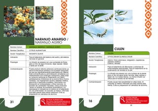 41 26
Nombre Común : NARANJO AMARGO / NARANJO AGRIO
Nombre Científico : CITRUS AURANTIUM
Acción Terapéutica : SEDANTE SUAVE
Indicación : Para el tratamiento del trastorno del sueño y del sistema
nervioso en general.
Posología : La infusión se prepara con una cucharada de flores
para un litro de agua hirviendo, dejar reposar. Beber
2 tazas por la tarde.
Contraindicación : Puede producir efectos adversos cardiovasculares ya
sea en la frecuencia cardíaca o en la presión sanguínea,
los que son significativamente potenciados por cafeína.
Está contraindicada su administración simultánea con
medicamentos que contengan ciclosporina. Debe evitar
su consumo personas en tratamiento con IMAO
(antidepresivos Inhibidores de la enzima Mono Amino
Oxidasa), con hipertensión severa, diabetes mellitus,
glaucoma e hipertrofia prostática. Administrar con
precaución en embarazadas y niños menores; no
exceder las cantidades indicadas. Estos productos
tienen el carácter de auxiliares sintomáticos y no
reemplazan lo indicado por el médico en el tratamiento
de una enfermedad. Al consultar al médico, infórmele
que está usando esta hierba medicinal. Evite su
preparación en utensilios de aluminio.
CITRUS AURANTIUM
http://www.rogerstreesandshrubs.co
m/gallery/DisplayBlock.asp?bid=113
27&gid=&source=gallerydefault
CULEN
31
Nombre Comun : CULEN
Nombre Científico : OTHOLOBIUM GLANDULOSUM
Acción Terapéutica : Interno: Dolor estomacal, indigestión, inapetencia,
diabetes melllitus.
Externo: Heridas
Indicación : Para el tratamiento de afecciones y síntomas de
enfermedades estomacales. Para el tratamiento en la
cicatrización de heridas en la piel.
Posología : La infusión se prepara con una cuchara de la planta
para un litro de agua recién hervida, dejar reposar y
beber de 3 a 4 tazas diarias. La misma infusión se
utiliza para el lavado de las heridas.
Contraindicación : Puede causar foto-sensibilidad en altas dosis. Al
consultar al médico infórmele que está usando esta
hierba. Evite su preparación en utensilios de aluminio.
OTHOLOBIUM
GLANDULOSUM
http://commons.wikimedia.org/wi
ki/File:Otholobium5.jpg
NARANJO AMARGO /
NARANJO AGRIO
16
 