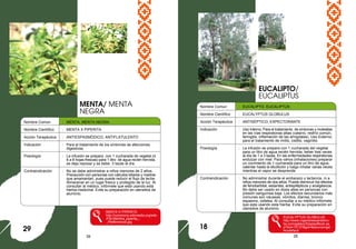 39 28
Nombre Comun : MENTA, MENTA NEGRA
Nombre Científico : MENTA X PIPERITA
Acción Terapéutica : ANTIESPASMÓDICO, ANTIFLATULENTO
Indicación : Para el tratamiento de los síntomas de afecciones
digestivas.
Posología : La infusión se prepara con 1 cucharada de vegetal (ó
6 a 8 hojas frescas) para 1 litro de agua recién hervida,
se deja reposar y se bebe 3 tazas al día.
Contraindicación : No se debe administrar a niños menores de 2 años.
Precaución con personas con cálculos biliares y madres
que amamantan, pues puede reducir el flujo de leche.
Almacenar en un lugar fresco y protegido de la luz. Al
consultar al médico, infórmele que está usando esta
hierba medicinal. Evite su preparación en utensilios de
aluminio.
MENTA X PIPERITA
http://commons.wikimedia.org/wiki
/File:Mentha_piperita_-
_Pfefferminze.jpg
EUCALIPTO/
EUCALIPTUS
29
Nombre Comun : EUCALIPTO, EUCALIPTUS
Nombre Científico : EUCALYPTUS GLOBULUS
Acción Terapéutica : ANTISÉPTICO, EXPECTORANTE
Indicación : Uso Interno; Para el tratamiento de síntomas y molestias
en las vías respiratorias altas (catarro, resfrío común,
faringitis, inflamación de las amígdalas). Uso Externo;
para el tratamiento de rinitis, cistitis, vaginitis.
Posología : La infusión se prepara con 1 cucharada del vegetal
para un litro de agua recién hervida; beber tres veces
al día de 1 a 3 tazas. En las enfermedades respiratorias
endulzar con miel. Para vahos (inhalaciones) preparar
un cocimiento de 1 cucharada para un litro de agua,
calentar hasta la ebullición y luego inhalar varias veces
mientras el vapor se desprende.
Contraindicación : No administrar durante el embarazo y lactancia, ni a
niños menores de dos años. Puede disminuir los efectos
de fenobarbital, sedantes, antiepilépticos y analgésicos.
No debe ser usado en dosis altas en personas con
presión sanguínea baja. Los efectos secundarios más
comunes son náuseas, vómitos, diarrea, bronco
espasmo, cefalea. Al consultar a su médico infórmele
que esta usando esta hierba. Evite su preparación en
utensilios de aluminio.
EUCALYPTUS GLOBULUS
http://www.rogerstreesandshru
bs.com/gallery/DisplayBlock.as
p?bid=10137&gid=&source=gal
lerydefault
MENTA/ MENTA
NEGRA
18
 