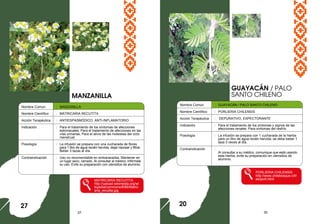 37 30
Nombre Comun : MANZANILLA
Nombre Científico : MATRICARIA RECUTITA
Acción Terapéutica : ANTIESPASMÓDICO, ANTI-INFLAMATORIO
Indicación : Para el tratamiento de los síntomas de afecciones
estomacales; Para el tratamiento de afecciones en las
vías urinarias; Para el alivio de las molestias del ciclo
menstrual.
Posología : La infusión se prepara con una cucharada de flores
para 1 litro de agua recién hervida, dejar reposar y filtrar.
Beber 3 tazas al día.
Contraindicación : Uso no recomendable en embarazadas, Mantener en
un lugar seco, cerrado. Al consultar al médico, infórmele
su uso. Evite su preparación con utensilios de aluminio.
MATRICARIA RECUTITA
http://upload.wikimedia.org/wi
kipedia/commons/8/89/Matric
aria_recutita.jpg
GUAYACÁN / PALO
SANTO CHILENO
27
Nombre Común : GUAYACÁN / PALO SANTO CHILENO
Nombre Científico : PORLIERIA CHILENSIS
Acción Terapéutica : DEPURATIVO, EXPECTORANTE
Indicación : Para el tratamiento de los síntomas y signos de las
afecciones renales. Para síntomas del resfrío.
Posología : La infusión se prepara con 1 cucharada de la hierba
para un litro de agua recién hervida: se debe beber 1
taza 3 veces al día.
Contraindicación :
Al consultar a su médico, comunique que está usando
esta hierba, evite su preparación en utensilios de
aluminio.
PORLIERIA CHILENSIS
http://www.chilebosque.cl/tr
ee/porli.html
MANZANILLA
20
 