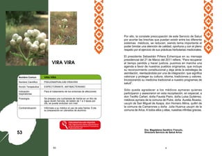 Dra. Magdalena Gardilcic Franulic,
Directora Servicio de Salud Arica.
63 4
Nombre Comun : VIRA VIRA
Nombre Científico : PSEUGNAPHALIUM VIRAVIRA
Acción Terapéutica : EXPECTORANTE, ANTIBACTERIANO
Indicación : Para el tratamiento de los síntomas de afecciones
respiratorias.
Posología: Se prepara una cucharada de hierba en un litro de
agua recién hervida, de beben de 1 a 3 tazas por
día, se puede endulzar con miel.
Contraindicación : Infórmele a su médico el uso de esta hierba. Evite
su preparación en utensilios de aluminio
PSEUGNAPHALIUM VIRAVIRA
http://agronomia.utalca.cl/horticultura
ornamental/presentacion/Floranativa-
PotencialUso.pdf
VIRA VIRA
53
Por ello, la constate preocupación de este Servicio de Salud
por acortar las brechas que puedan existir entre los diferente
sistemas médicos, se reducen, siendo tema importante el
poder brindar una atención de calidad, oportuna y con el pleno
respeto por el ejercicio de sus prácticas herbolarias medicinales.
El presidente Sebastián Piñera Echenique en su mensaje
presidencial del 21 de Marzo del 2011 refiere, “Para recuperar
el tiempo perdido y hacer justicia, pusimos en marcha una
agenda a favor de nuestros pueblos originarios, que incluye
su reconocimiento constitucional y deja atrás la estrategia de
asimilación, reenlazándola por una de integración, que significa
valorizar y proteger su cultura, idioma, tradiciones y valores.
Incorporando su medicina tradicional a nuestro programas de
salud”.
Sólo queda agradecer a los médicos aymaras quienes
participaron y asesoraron en esta recopilación, en especial, a
don Teofilo Cañari, doña Fausta Pairo, doña Luisa Gutiérrez,
médicos aymara de la comuna de Putre, doña Aurelia Álvarez,
usuyiri de San Miguel de Azapa, don Homero Altina, quilliri de
la comuna de Camarones y doña Julia Huanca usuyiri de la
comuna de Arica. A todos ellos y ellas, nuestras infinitas gracias.
 
