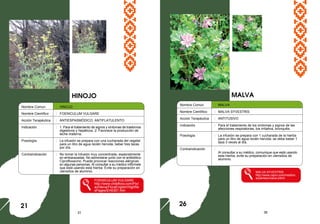 31 36
Nombre Comun : HINOJO
Nombre Científico : FOENICULUM VULGARE
Acción Terapéutica : ANTIESPASMÓDICO, ANTIFLATULENTO
Indicación : 1. Para el tratamiento de signos y síntomas de trastornos
digestivos y hepáticos. 2. Favorece la producción de
leche materna.
Posología : La infusión se prepara con una cucharada del vegetal
para un litro de agua recién hervida, beber tres tazas
por día.
Contraindicación : No tomar la infusión muy concentrada, especialmente
en embarazadas. No administrar junto con el antibiótico
Ciprofloxacino. Puede provocar reacciones alérgicas
en algunas personas. Al consultar a su médico infórmele
que está usando esta hierba. Evite su preparación en
utensilios de aluminio.
FOENICULUM VULGARE
http://www.chileflora.com/Flor
achilena/FloraEnglish/HighRe
sPages/EH0301.htm
MALVA
21
Nombre Común : MALVA
Nombre Científico : MALVA SYVESTRIS
Acción Terapéutica : ANTITUSIVO
Indicación : Para el tratamiento de los síntomas y signos de las
afecciones respiratorias, tos irritativa, bronquitis.
Posología : La infusión se prepara con 1 cucharada de la hierba
para un litro de agua recién hervida: se debe beber 1
taza 3 veces al día.
Contraindicación :
Al consultar a su médico, comunique que está usando
esta hierba, evite su preparación en utensilios de
aluminio.
MALVA SYVESTRIS
http://www.cepvi.com/medicin
a/plantas/malva.shtml
HINOJO
26
 