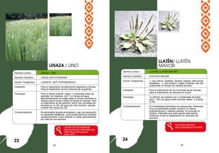 33 34
Nombre Común : LINAZA / LINO
Nombre Científico : LINUM USITATISSIMUM
Acción Terapéutica : LAXANTE, ANTI ESPASMÓDICO
Indicación : Para el tratamiento de afecciones digestivas crónicas.
Para el tratamiento de los síntomas de la gastritis.
Posología : Para el efecto laxante, ingerir 1 cucharada diaria de
semillas, sin masticar, con 1 a 2 tazas de agua;
alternativamente se puede dejar la misma cantidad en
remojo unas 8 horas y beber el líquido en ayunas. Para
el tratamiento de las gastritis, hervir dos cuchadas de
semillas en un litro de agua por dos minutos, reposar
y beber tres tazas por día.
Contraindicación : No administrar durante el embarazo, usar con precaución
en pacientes diabéticos, pues puede disminuir el efecto
hipoglicemiante. Como laxante no debe administrarse
por más de una semana.
LINUM USITATISSIMUM
http://commons.wikimedia.org
/wiki/File:Linum-ground-
cover.JPG
LLATÉN/ LLATÉN
MAYOR
23
Nombre Comun : LLATÉN, LLATÉN MAYOR
Nombre Científico : PLATAGO MAJOR
Acción Terapéutica : 1. Uso interno: Gastritis, Úlceras, Diarrea, Afecciones
Hepáticas. 2. Uso Externo: Llagas, Pústulas. (se usa
localmente la infusión de manera directa).
Indicación : Para el tratamiento de los síntomas de las úlceras;
para el tratamiento de lesiones en la piel.
Posología : La infusión se prepara con 2 cucharadas de hojas
para 1 litro de agua recién hervida; beber 2-3 tazas
al día.
Contraindicación : En el embarazo administre con precaución. Infusiones
muy concentradas pueden producir un efecto
antihipertensivo y laxante potente. Al consultar al
médico, infórmele que está usando esta hierba
medicinal. Evite su preparación en utensilios de
aluminio.
PLATAGO MAJOR
http://yerbasana.cl/?a=529
LINAZA / LINO
24
 