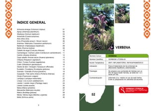 ÍNDICE GENERAL
Achicoria amarga (Cichorium intybus) 01
Ajenjo (Artemisia absinthium) 02
Albahaca (Ocimum basilicum) 03
Alcachofa (Cynara scolymus) 04
Aloe (Aloe vera) 05
Anís (Pimpinella anisum / Illicium verum) 06
Artemisa / Matricaria (Tanacetum parthenium) 07
Bailahuen (Haplopappus baylahuen) 08
Boldo (Peumus boldus) 09
Cabello de ángel (Cuscuta chilensis) 10
Cachanlagua / Cachan-Lawen (Centaurium cachanlahuen) 11
Cedrón (Aloysia citrodora) 12
Cepa caballo/ Amores secos (Acaena splendens) 13
Chépica (Paspalum vaginatum) 14
Chilco / Fucsia (Fuchsia magellanica) 15
Culén (Otholobium glandulosum) 16
Diente de león / Amargón (Taraxacum officinalis) 17
Eucalipto / Eucaliptus (Eucalyptus globulus) 18
Granado / Granada (Punica granatum) 19
Guayacán / Palo santo chileno (Porlieria chilensis) 20
Hinojo (Foeniculum vulgare) 21
Lampayo (Lampaya medicinalis) 22
Linaza / Lino (Linum usitatissimum) 23
Llantén / Llantén mayor (Plantago major) 24
Llareta (Laretia acaulis) 25
Malva (Malva sylvestris) 26
Manzanilla (Matricaria recutita) 27
Matico (Buddleja globosa) 28
Menta / Menta negra (Mentha x piperita) 29
Molle (Schinus areira) 30
5 62
Nombre Comun : VERBENA
Nombre Científico : VERBENA LITORALIS
Acción Terapéutica : ANTI- INFLAMATORIO, ANTIESPASMÓDICO
Indicación : Para el tratamiento de los síntomas de
afecciones hepáticas y estomacales.
Posología : Se prepara una cucharada de hierbas con un
litro de agua recién hervida, se bebe de 1 a 3
tazas por día.
Contraindicación : Infórmele a su médico el uso de esta hierba.
Evite su preparación en utensilios de aluminio.
VERBENA LITORALIS
www.chileflora.com/.../HighResPage
s/EH0217.htm
VERBENA
52
 