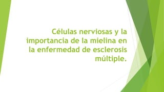 Células nerviosas y la
importancia de la mielina en
la enfermedad de esclerosis
múltiple.
 