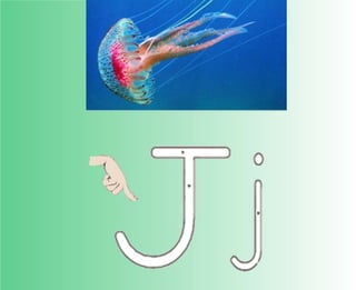 Flashcards and posters J j