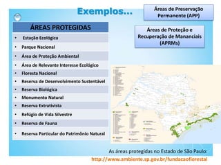 As áreas protegidas no Estado de São Paulo:
http://www.ambiente.sp.gov.br/fundacaoflorestal
ÁREAS PROTEGIDAS
• Estação Ecológica
• Parque Nacional
• Área de Proteção Ambiental
• Área de Relevante Interesse Ecológico
• Floresta Nacional
• Reserva de Desenvolvimento Sustentável
• Reserva Biológica
• Monumento Natural
• Reserva Extrativista
• Refúgio de Vida Silvestre
• Reserva de Fauna
• Reserva Particular do Patrimônio Natural
Áreas de Preservação
Permanente (APP)
Exemplos...
Áreas de Proteção e
Recuperação de Mananciais
(APRMs)
 