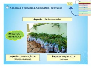 Aspecto: plantio de mudas
Impacto: sequestro de
carbono
IMPACTOS
BENÉFICOS
Impacto: preservação de
recursos naturais
Aspectos e Impactos Ambientais- exemplos
 