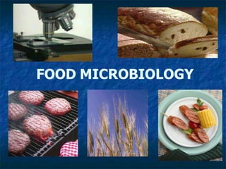 FOOD MICROBIOLOGY
 