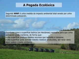 Segundo WWF é unha medida do impacto ambiental total xerado por unha
determinada poboación.
Exprésase como a superficie teórica (en Hectáreas) necesaria para que unha
poboación poda manterse, de forma que:
• dita superficie produza tódolos recursos que necesita e consome
• dita superficie poda asimilar tódolos residuos producidos, sen xerar dano
algún sobre o medio ambiente
A Pegada Ecolóxica
 