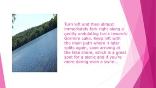 Turn left and then almost
immediately fork right along a
gently undulating track towards
Gormire Lake. Keep left with
the main path where it later
splits again, soon arriving at
the lake shore, which is a great
spot for a picnic and if you're
more daring even a swim...
 