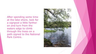 After spending some time
at the lake shore, look for
a signpost a little farther
on and turn from the
waters edge to climb
through the trees on a
path signed to the National
Park Centre.
 