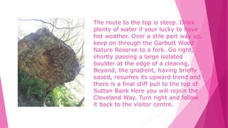 The route to the top is steep. Drink
plenty of water if your lucky to have
hot weather. Over a stile part way up,
keep on through the Garbutt Wood
Nature Reserve to a fork. Go right,
shortly passing a large isolated
boulder at the edge of a clearing,
Beyond, the gradient, having briefly
eased, resumes its upward trend and
there is a final stiff pull to the top of
Sutton Bank Here you will rejoin the
Cleveland Way. Turn right and follow
it back to the visitor centre.
 