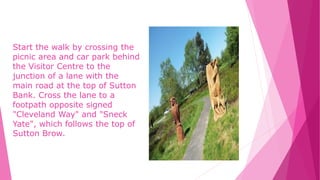 Start the walk by crossing the
picnic area and car park behind
the Visitor Centre to the
junction of a lane with the
main road at the top of Sutton
Bank. Cross the lane to a
footpath opposite signed
"Cleveland Way" and "Sneck
Yate", which follows the top of
Sutton Brow.
 