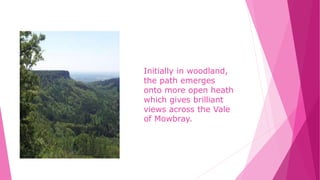 Initially in woodland,
the path emerges
onto more open heath
which gives brilliant
views across the Vale
of Mowbray.
 