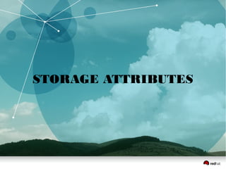 STORAGE ATTRIBUTES
 