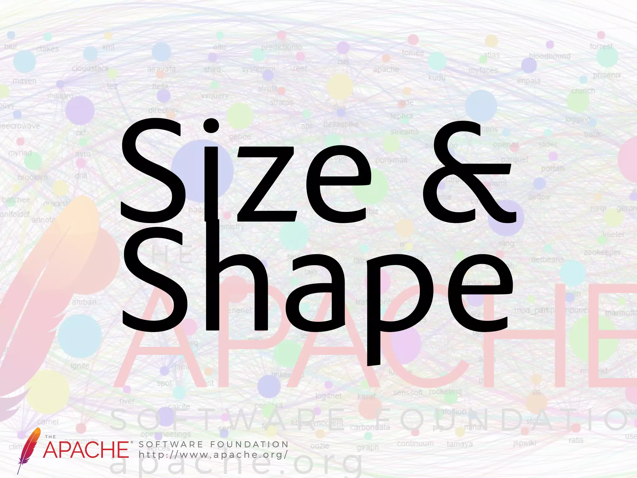 Size & Shape 