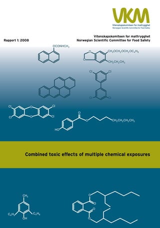 Combined toxic effects of multiple chemical exposures
Published by Vitenskapskomiteen for mattrygghet/
Norwegian Scientific Committee for Food Safety 2008.
Postboks 4404 Nydalen
0403 Oslo
Tel. + 47 21 62 28 00
www.vkm.no
ISBN 978-82-8082-232-1 (Printed edition)
ISBN 978-82-8082-233-8 (Electronic edition)
CombinedtoxiceffectsofmultiplechemicalexposuresVitenskapskomiteenformattrygghet1:2008
Combined toxic effects of multiple chemical exposures
Rapport 1: 2008
Vitenskapskomiteen for mattrygghet
Norwegian Scientific Committee for Food Safety
 